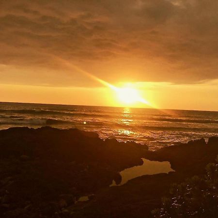 Unwind On Your Fantasy Hawaiian Vacation- 1Bd/1Ba Condo In Kailua-Kona, Hawaii Exteriör bild